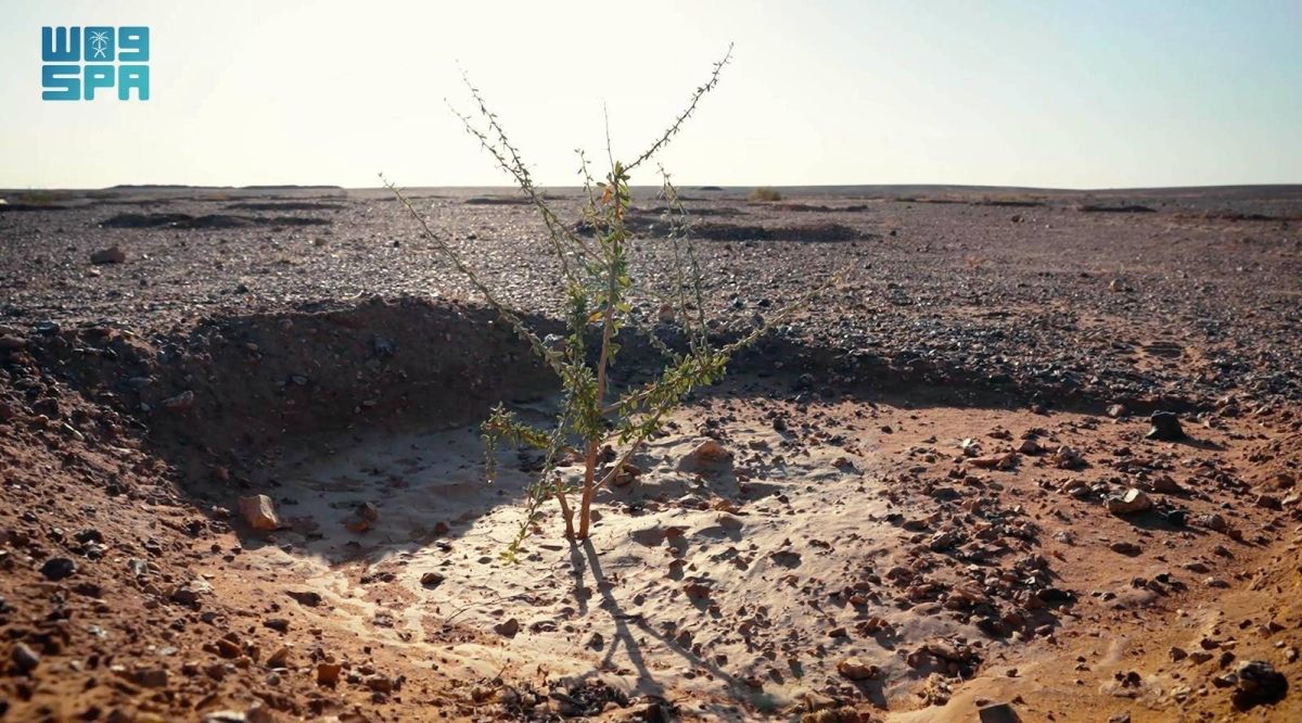 وزير الداخلية يدشن المشتل المركزي ومحطة أبحاث وإنتاج البذور البرية