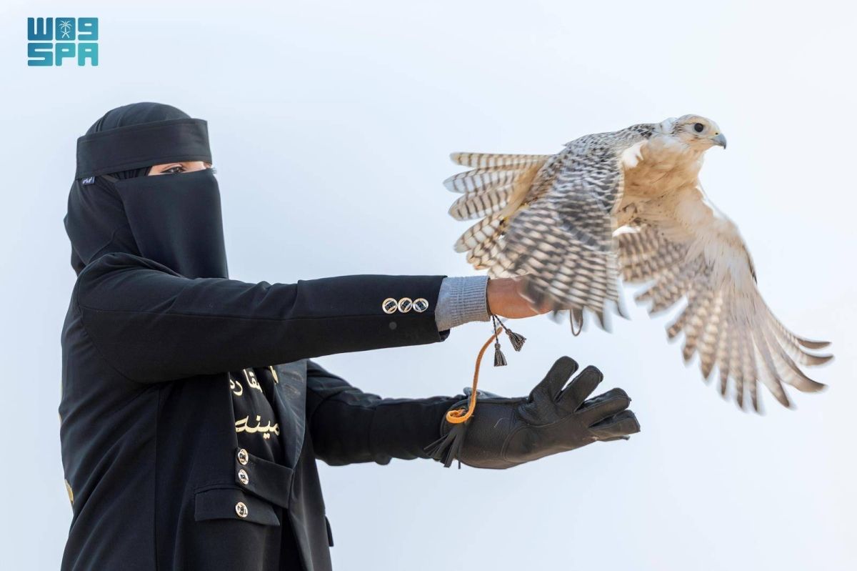 صقارة من الحدود الشمالية 
توثق تجربتها في تربية وتدريب الصقور