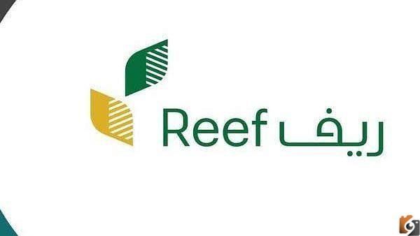 شروط التسجيل في برنامج الريف 1447 برقم الهوية للدعم المالي مع الشروط المطلوبة وطريقة تسجيل البيانات