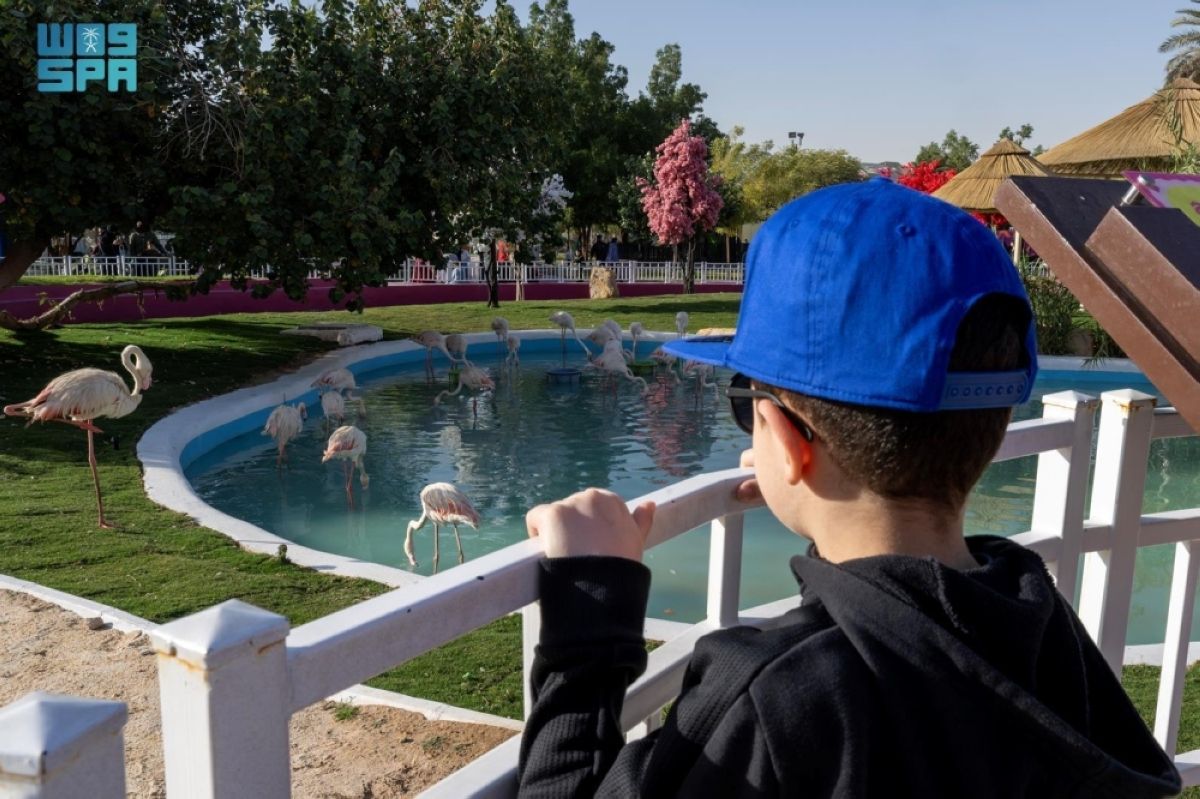 «رياض زوو» توفر بيئات وتجارب آمنة مخصصة للأطفال