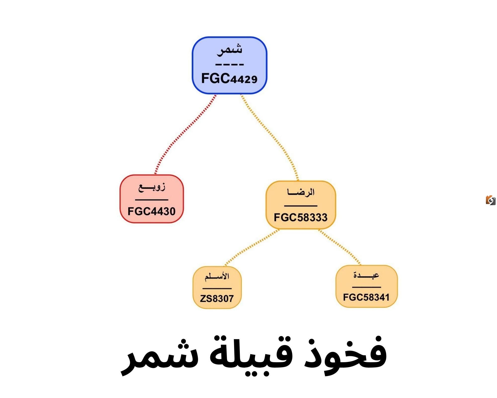 اسماء قبيلة شمر من شيوخ وعوائل القبيلة