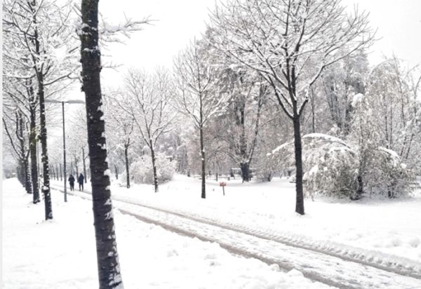 25 درجة تحت الصفر.. النمسا تشهد موجة صقيع غير مسبوقة