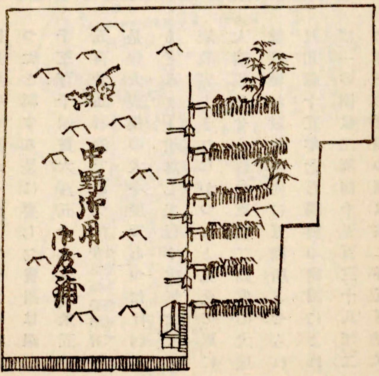 المخطّط المبسّط لـ ”المساكن الخاصة بالكلاب“ في ناكانو. يُقال إنّ بيوت الكلاب في أوكوبو كانت أصغر حجمًا من هذا المخطّط. المصدر: كتاب ”الجغرافيا التاريخية لمنطقة موساشينو، الجزء الثاني“ في أرشيف مكتبة البرلمان الوطنية