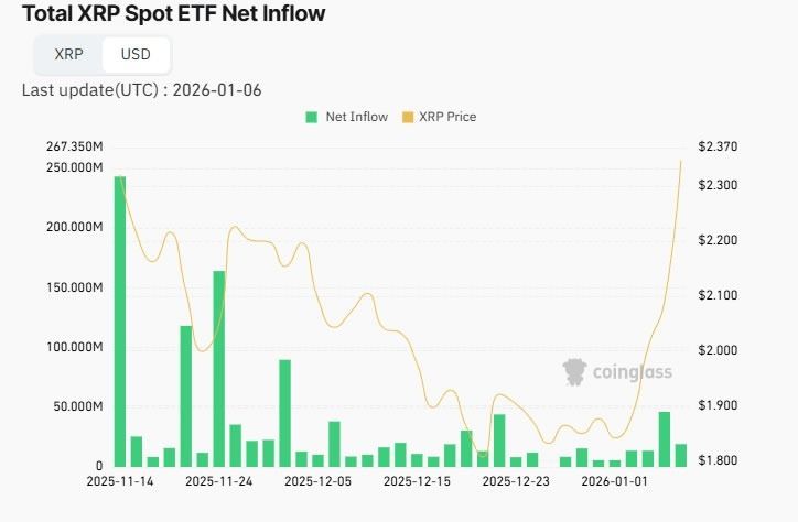 لماذا يتفوّق XRP على بيتكوين وإيثيريوم مع بداية 2026