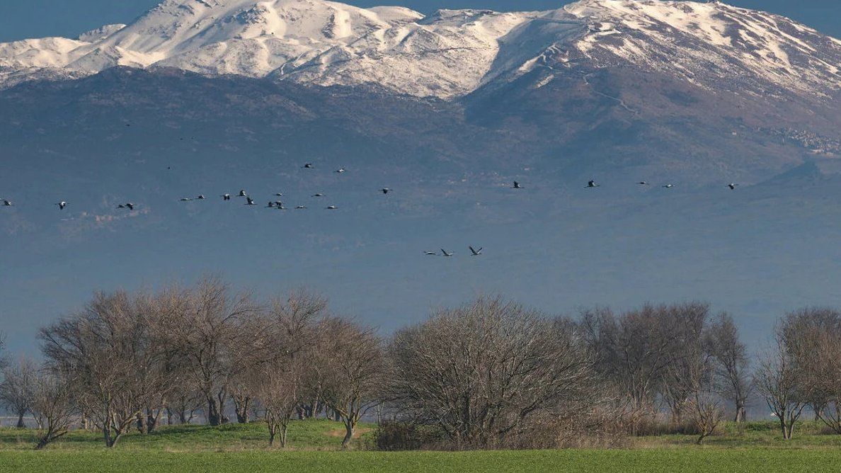 ترامب يريد جبل الشيخ منتجعاً للتقارب بين سوريا واسرائيل