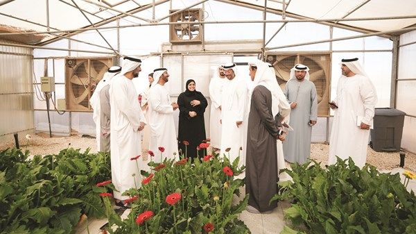 «أبوظبي للزراعة» تنظّم يوماً مفتوحاً للمزارعين في «الكويتات»