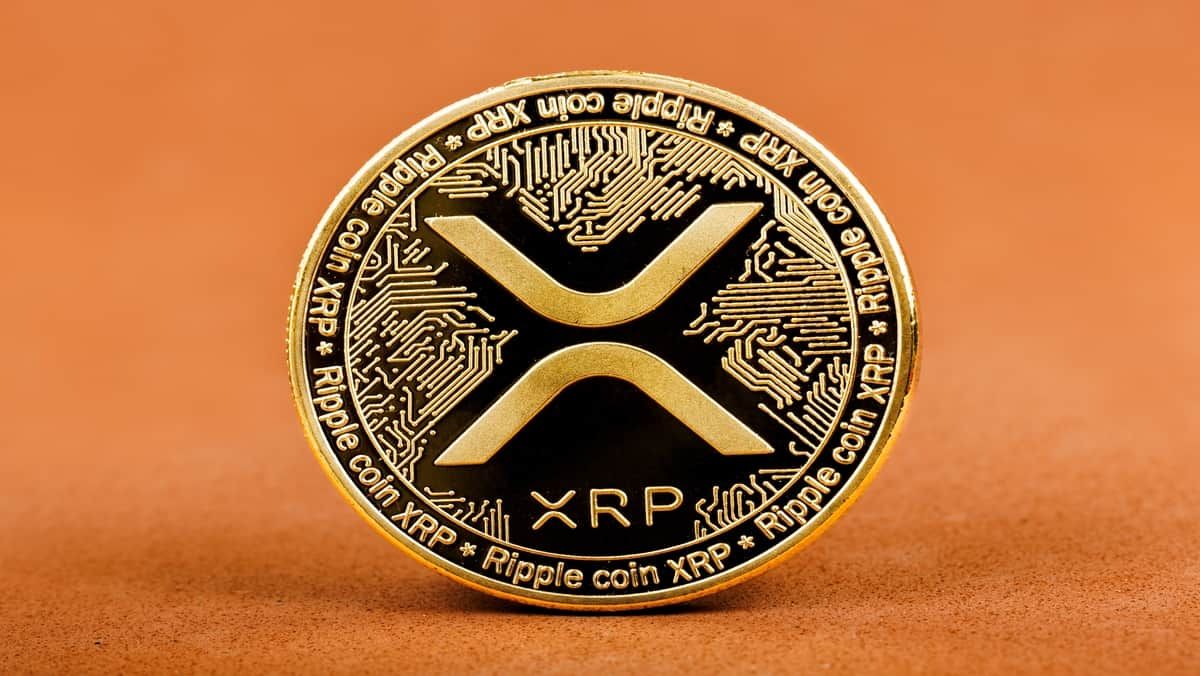 تحذير عاجل لمجتمع XRP: لا توجد هدايا مجانية والحذر من موجة احتيال واسعة
