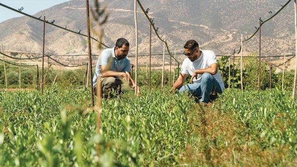 فائزون بجائزة زايد للاستدامة لـ «الاتحاد»: الإمارات نموذج عالمي في دعم المبتكرين وتعزيز حلول الاستدامة