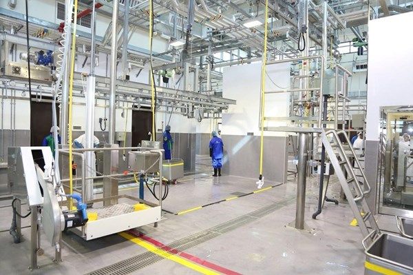 "بلدية العين" تعزز منظومة الصحة العامة خلال 2025