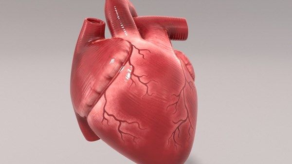 إنجاز طبي مذهل.. جراحة قلب بلا شق في الصدر