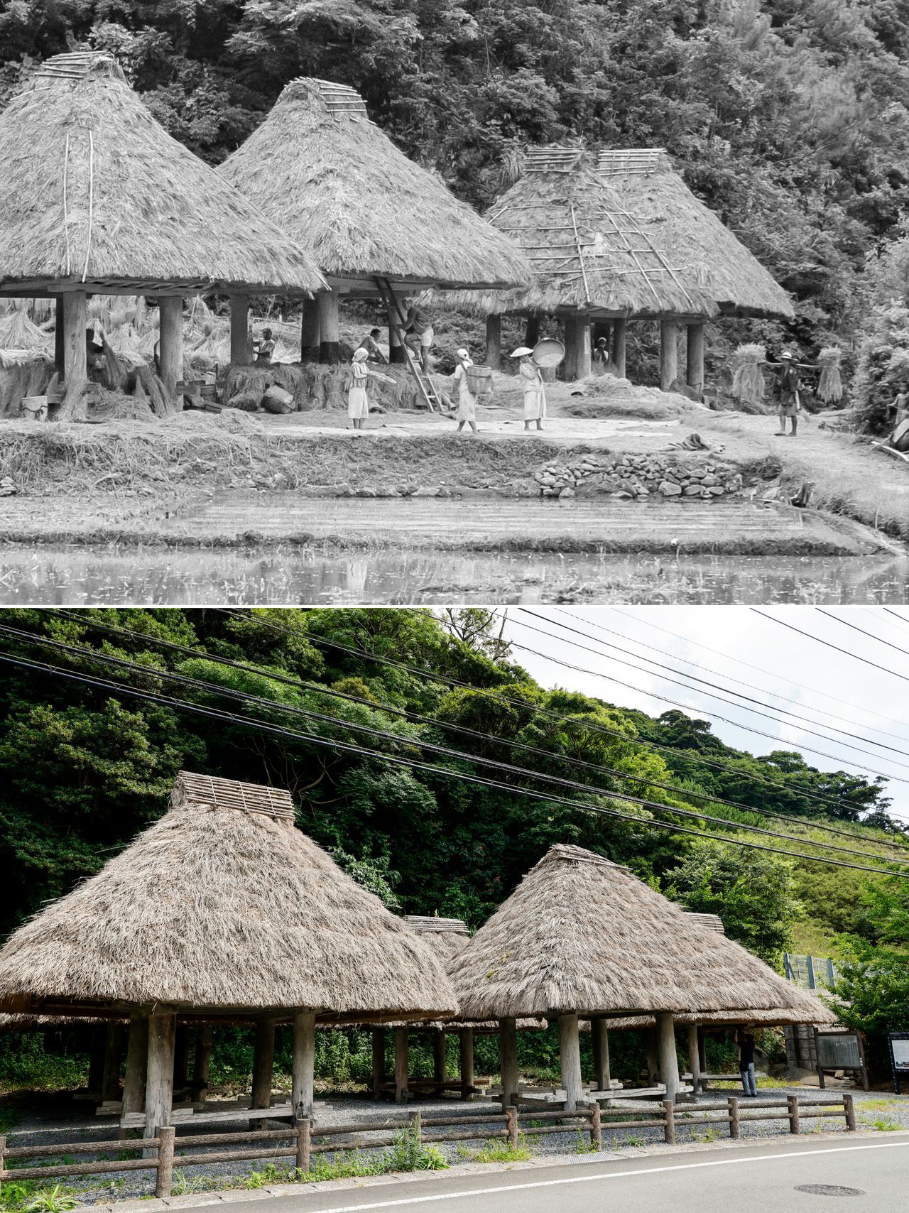 اليابان | توثيق بالصور… كيف تحفظ جزر أمامي اليابانية ذاكرتها الجماعية