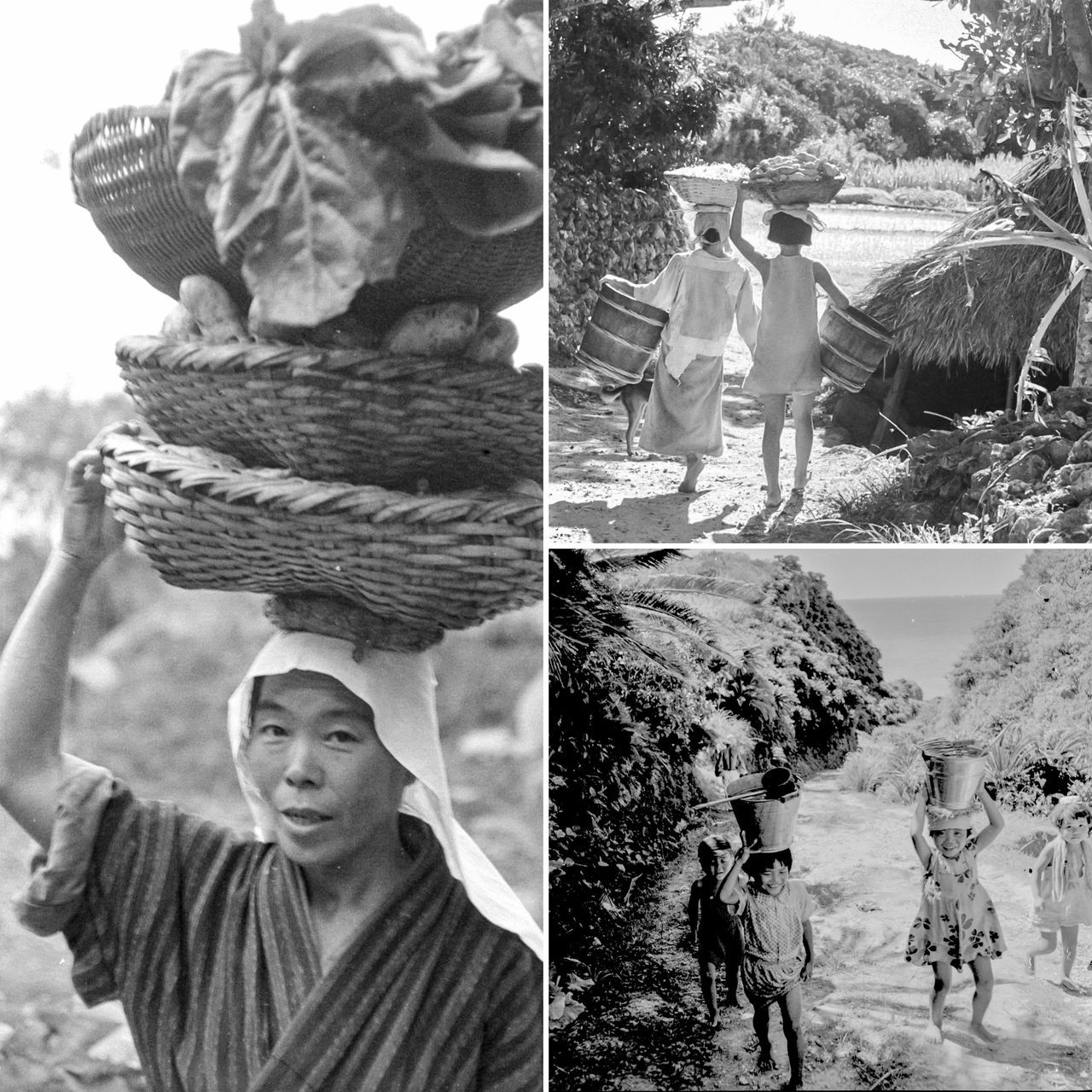 اليابان | توثيق بالصور… كيف تحفظ جزر أمامي اليابانية ذاكرتها الجماعية