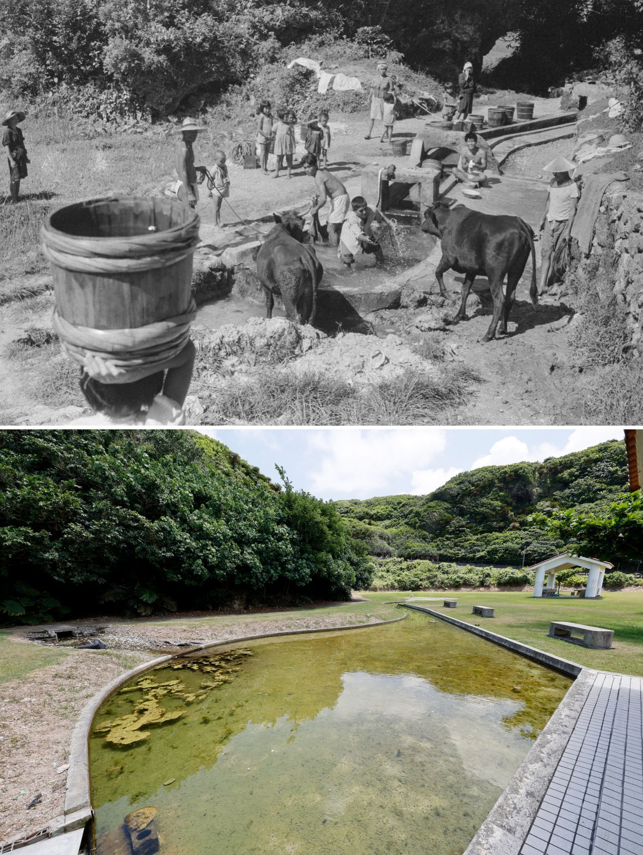 اليابان | توثيق بالصور… كيف تحفظ جزر أمامي اليابانية ذاكرتها الجماعية