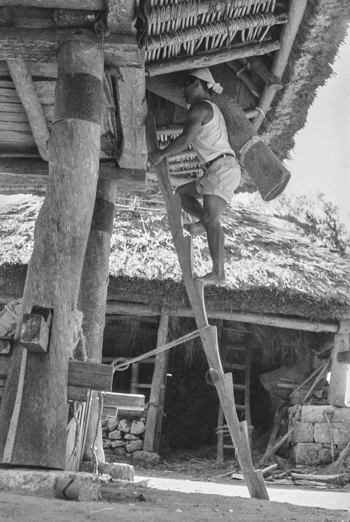 اليابان | توثيق بالصور… كيف تحفظ جزر أمامي اليابانية ذاكرتها الجماعية