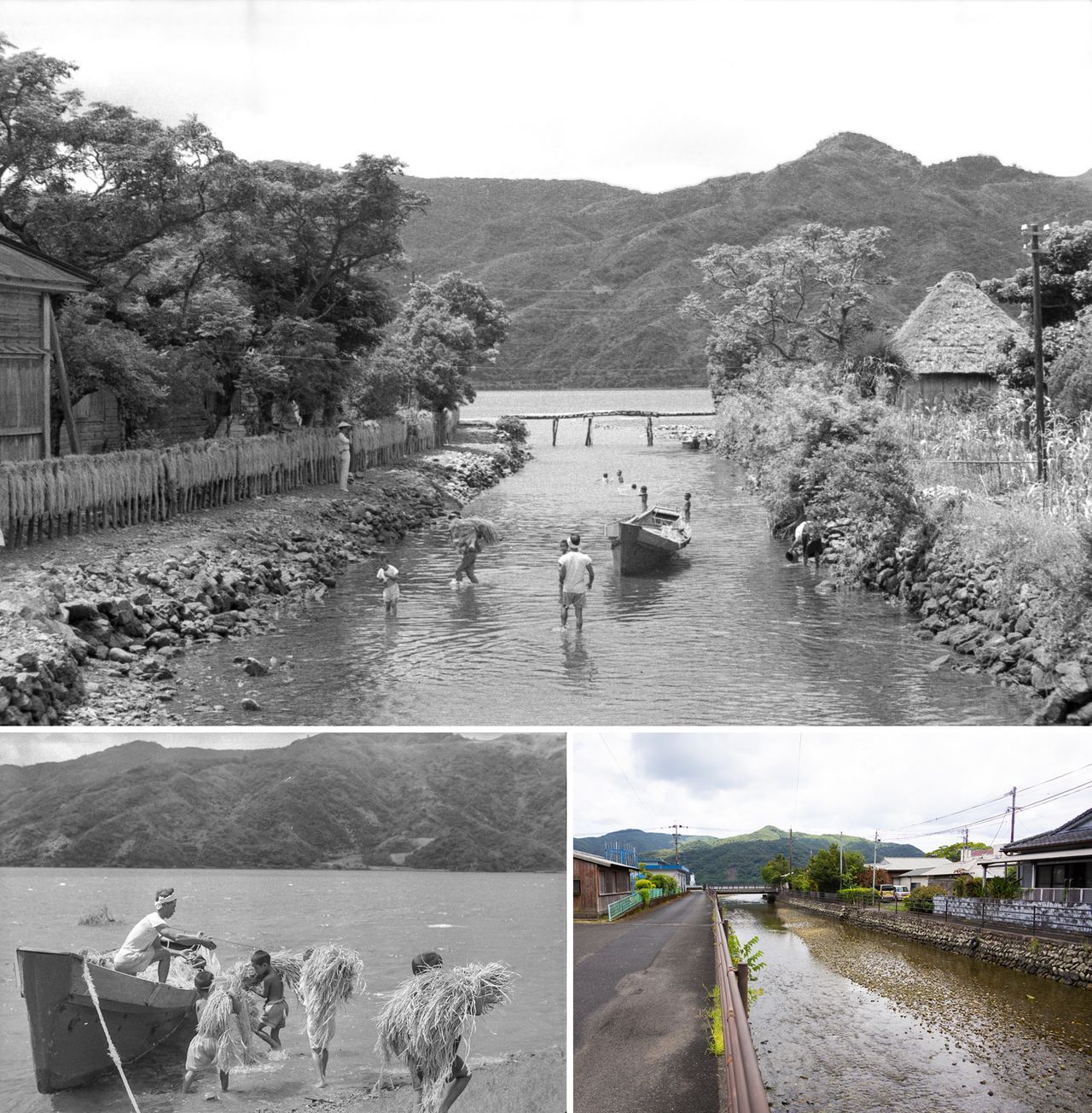 اليابان | توثيق بالصور… كيف تحفظ جزر أمامي اليابانية ذاكرتها الجماعية