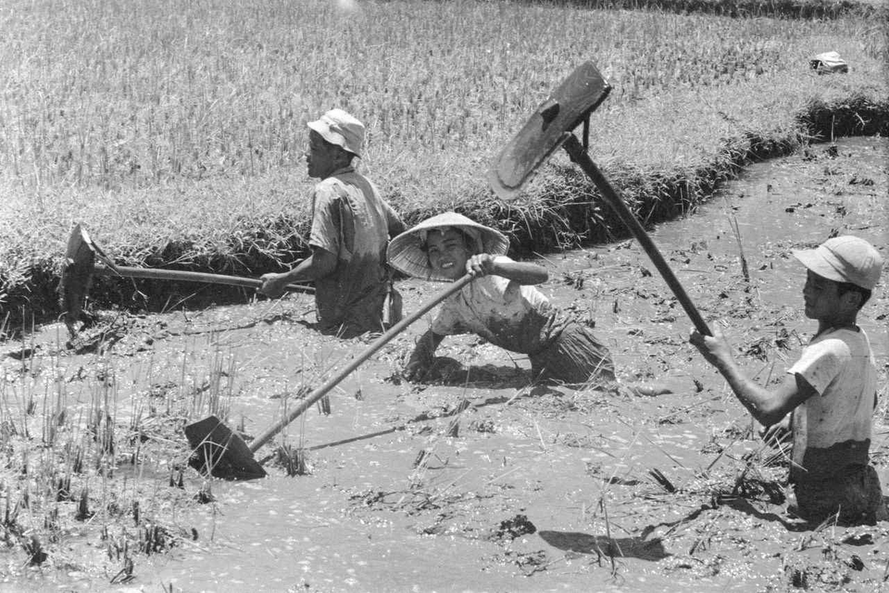 اليابان | توثيق بالصور… كيف تحفظ جزر أمامي اليابانية ذاكرتها الجماعية