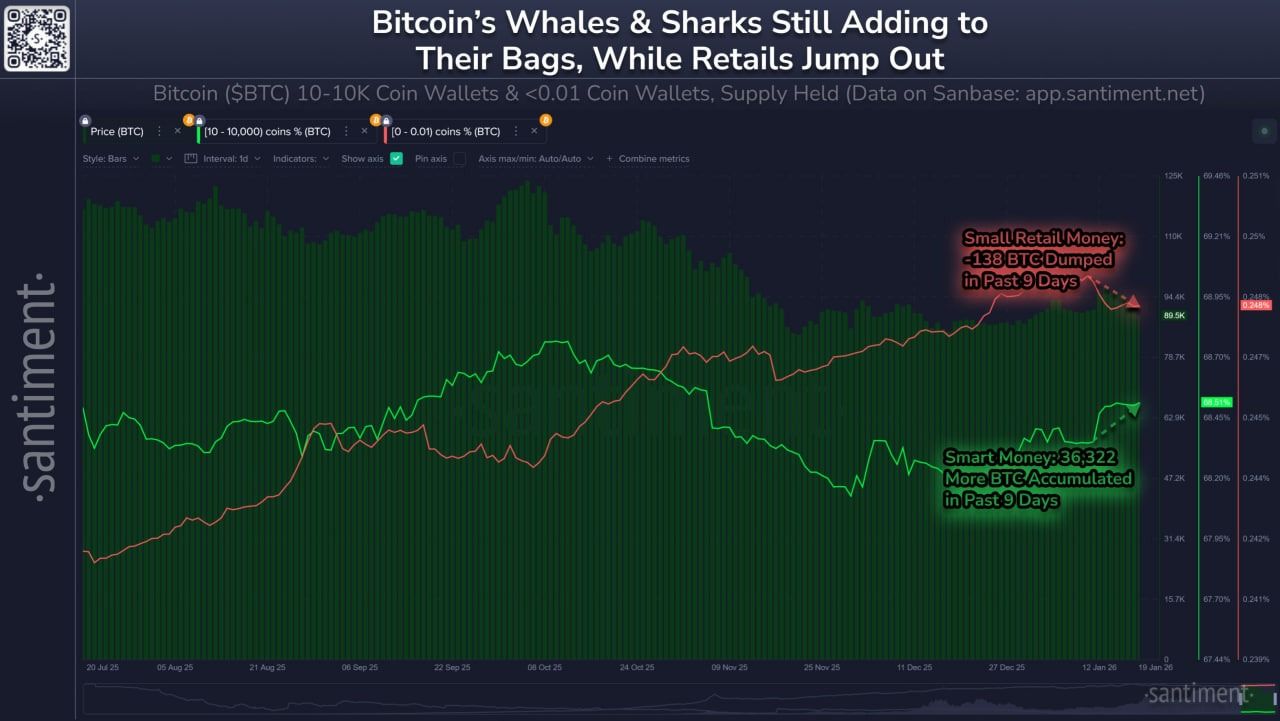 صناديق بيتكوين وإيثر الفورية تسجّل نزوحا كبيرا مع تنامي “حذر المؤسسات”