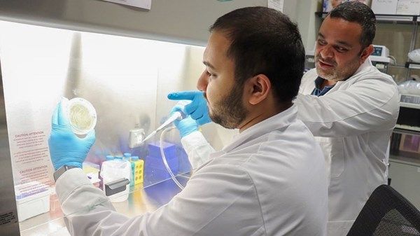 دراسة بحثية في «نيويورك أبوظبي» تكشف ارتباط بكتيريا الفم بالسمنة