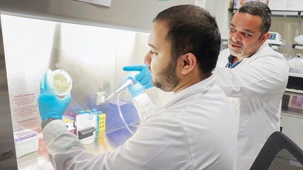 دراسة لـ«نيويورك أبوظبي» تكشف ارتباط بكتيريا الفم بالسمنة