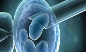 مركز الملك سلمان للإغاثة يعزز خدمات الصحة الإنجابية بإعادة تشغيل أقسام الولادة والعمليات في غزة