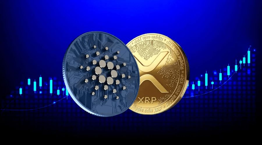 الأرقام تشير إلى أن XRP وADA أقل تقييما من البيتكوين حاليا: التفاصيل