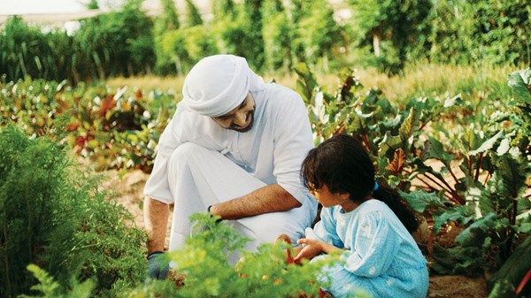 مبادرتان لتمكين الأسرة صحياً ووقائياً في مختلف مراحل الحياة