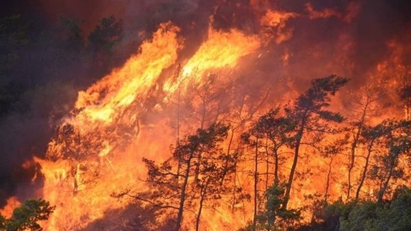 أستراليا.. موجة حارة قياسية تؤجج حرائق الغابات وتقطع الكهرباء عن الآلاف