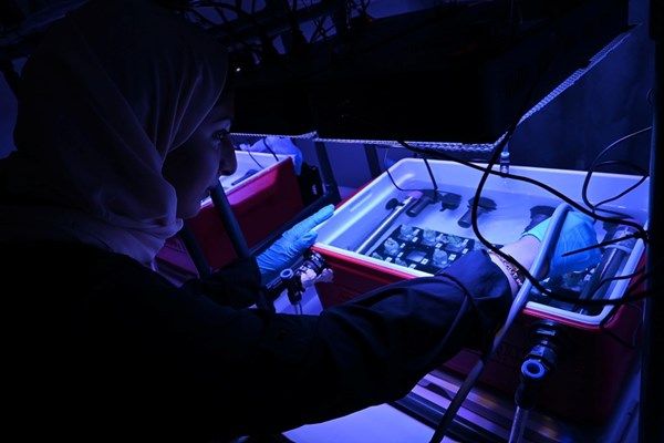 فريق بحثي بـ"نيويورك أبوظبي" ينجز دراسة حول الشعاب المرجانية في سواحل الدولة