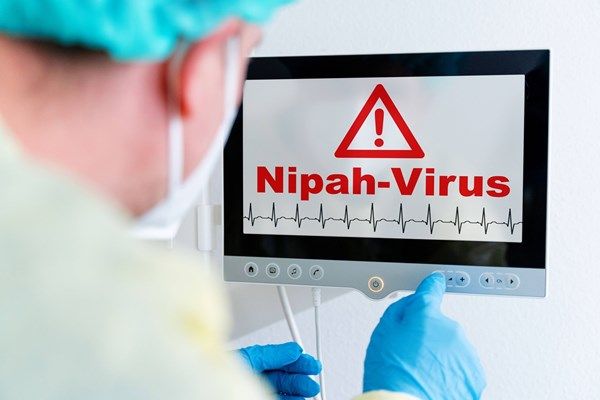 سنغافورة تعزز الفحص الصحي في مطار تشانغي بعد تفشي نيباه بالهند