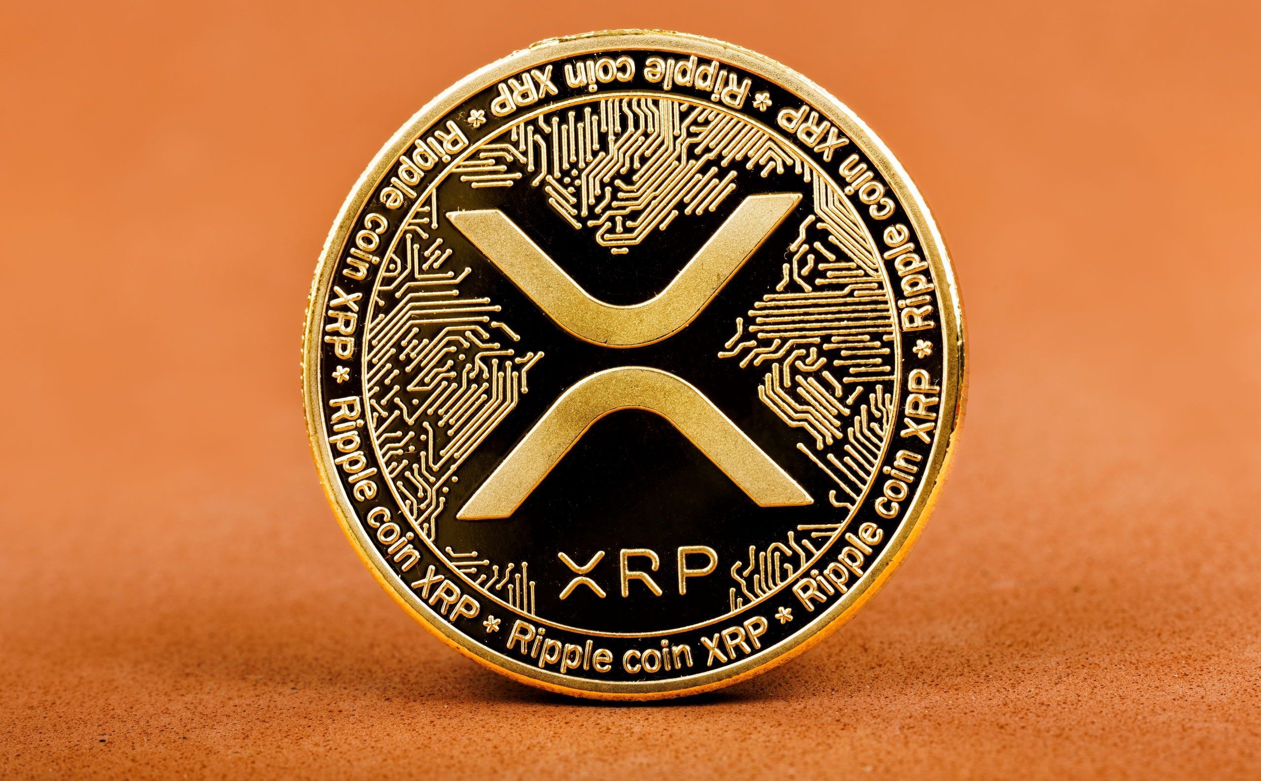 قفزة قياسية في عقود XRP الآجلة رغم موجة البيع الأخيرة التي محت 467 مليار دولار من سوق الكريبتو