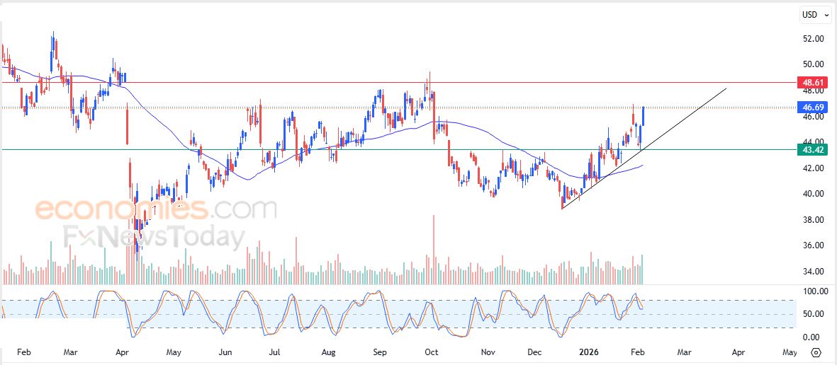 هومانا إنك (HUM) يعاود الانخفاض – توقعات اليوم – 05-02-2026