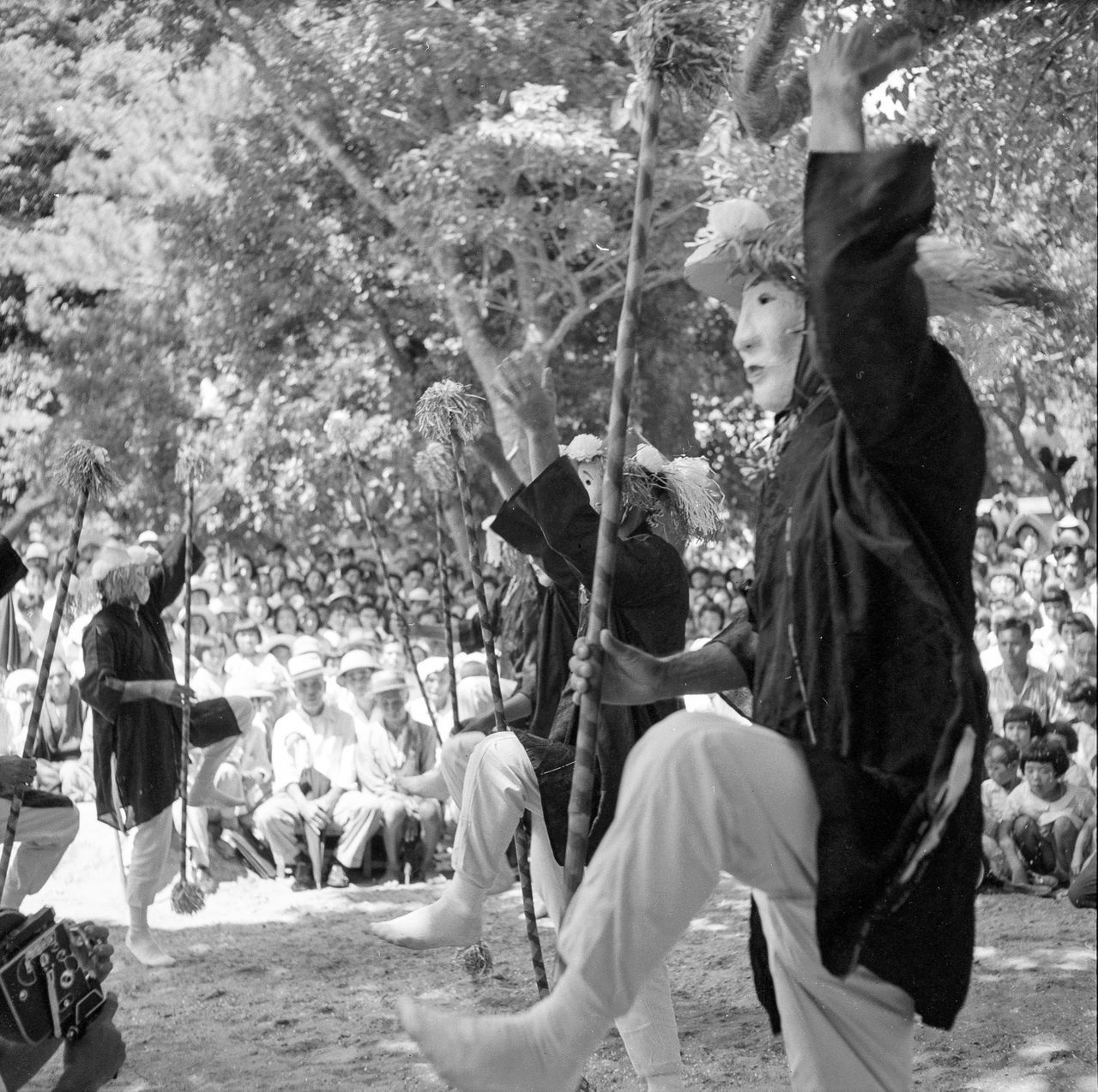 اليابان | بين الأسطورة والواقع: توثيق هاغا هيدييو البصري لتراث جزر أمامي اليابانية