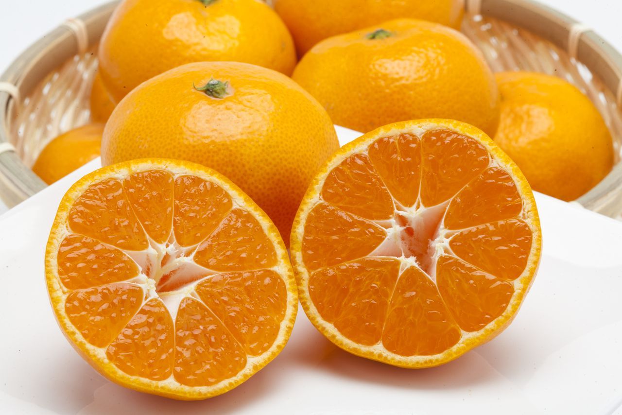 اليابان | أونشو ميكان… فاكهة يابانية واحدة بأسماء مختلفة