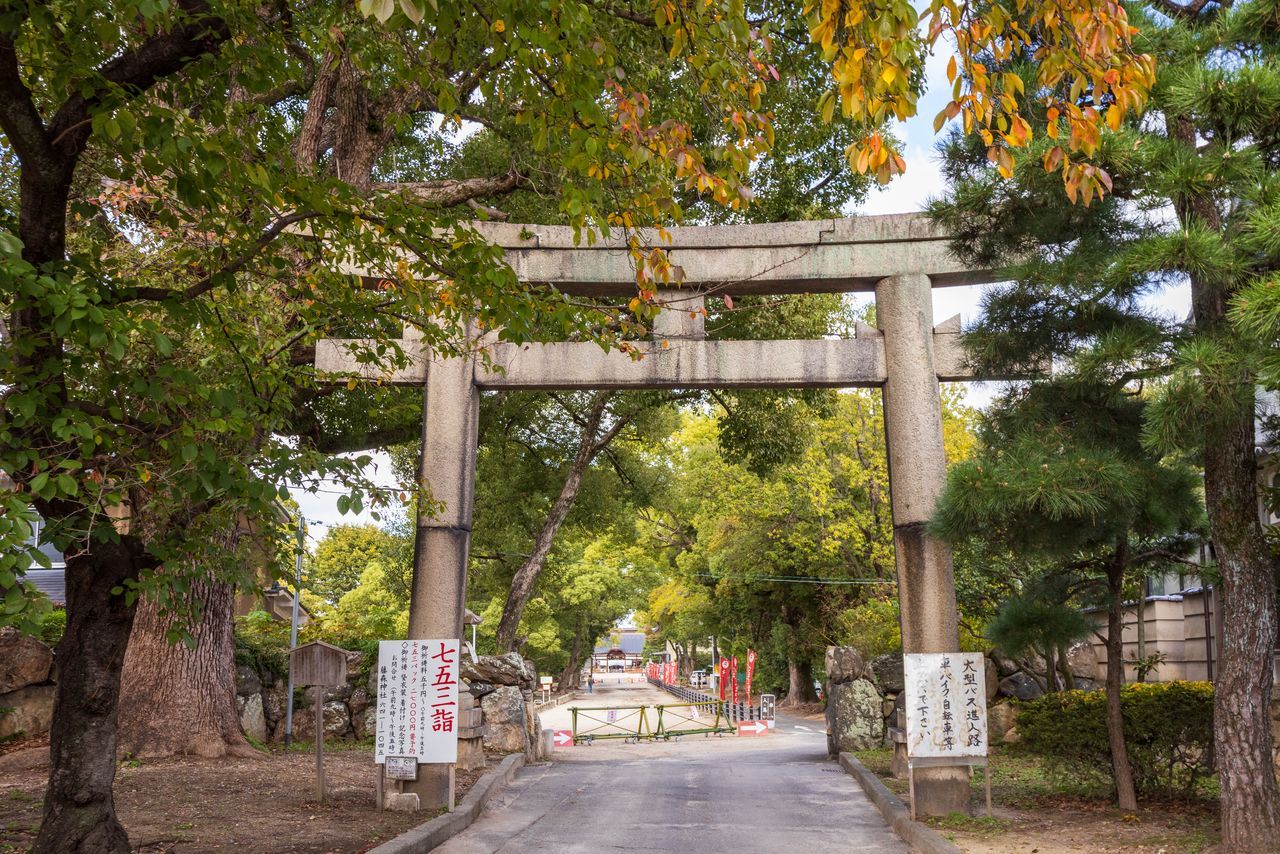 اليابان | عام الحصان: خمسة أضرحة تستحق الزيارة في عام 2026 في اليابان