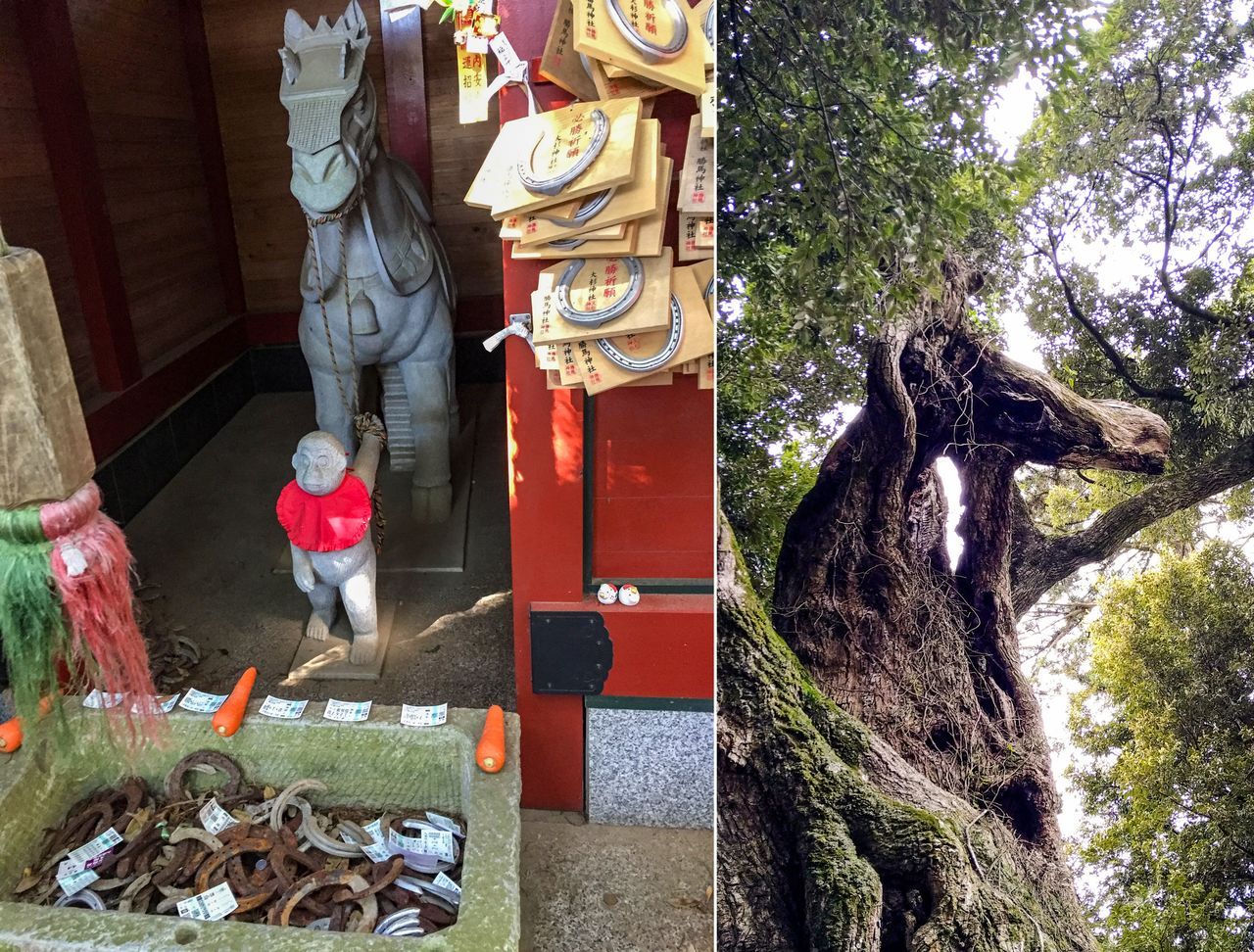 اليابان | عام الحصان: خمسة أضرحة تستحق الزيارة في عام 2026 في اليابان