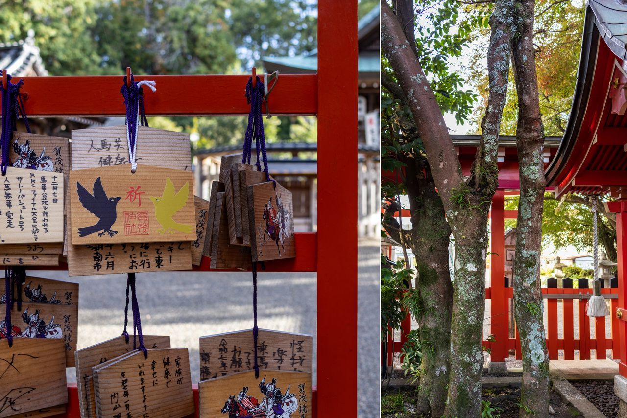 اليابان | عام الحصان: خمسة أضرحة تستحق الزيارة في عام 2026 في اليابان