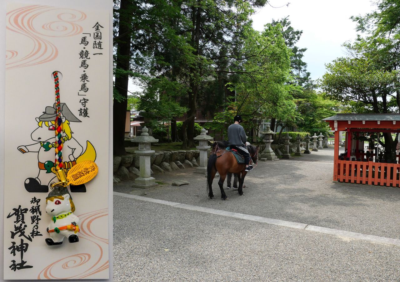 اليابان | عام الحصان: خمسة أضرحة تستحق الزيارة في عام 2026 في اليابان