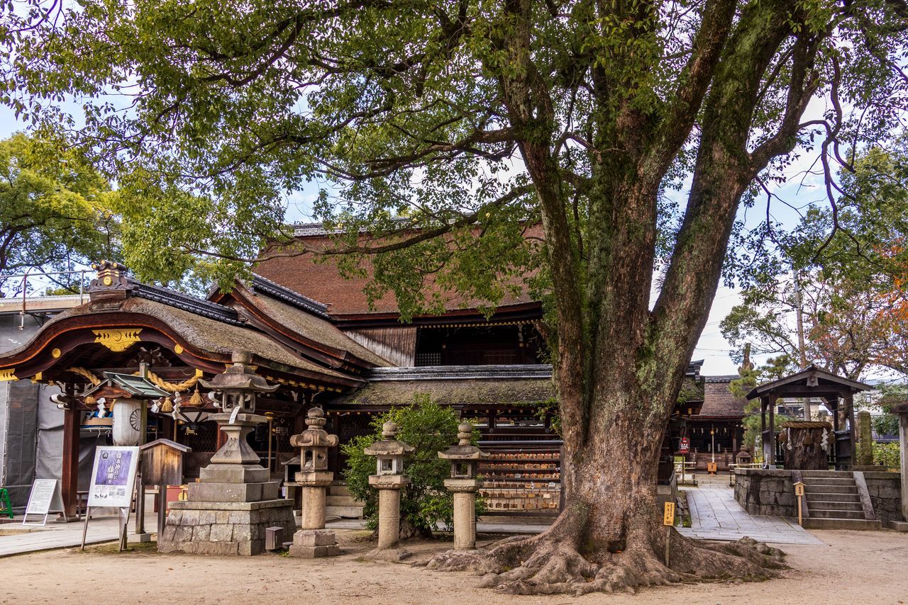 اليابان | عام الحصان: خمسة أضرحة تستحق الزيارة في عام 2026 في اليابان
