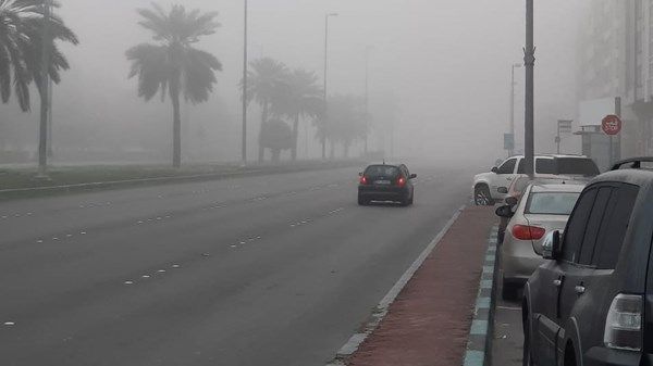 «الوطني للأرصاد» يحذّر من تشكّل الضباب وتدنّي مدى الرؤية