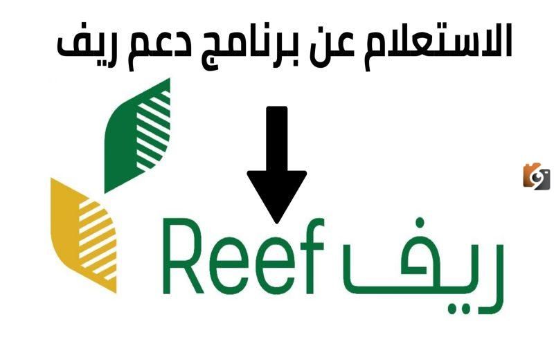 رابط التسجيل في دعم ريف 1447: احصل على 54,000 ريال سعودي سنويًا