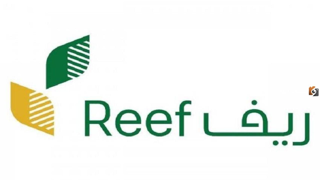 هل دعم المواشي يؤثر على دعم الريف؟