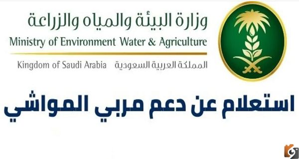 دعم المواشي كم على الراس