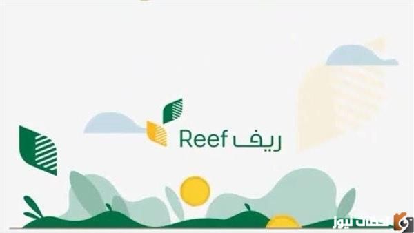 طريقة التسجيل في دعم ريف والشروط المطلوبة للحصول على الدعم