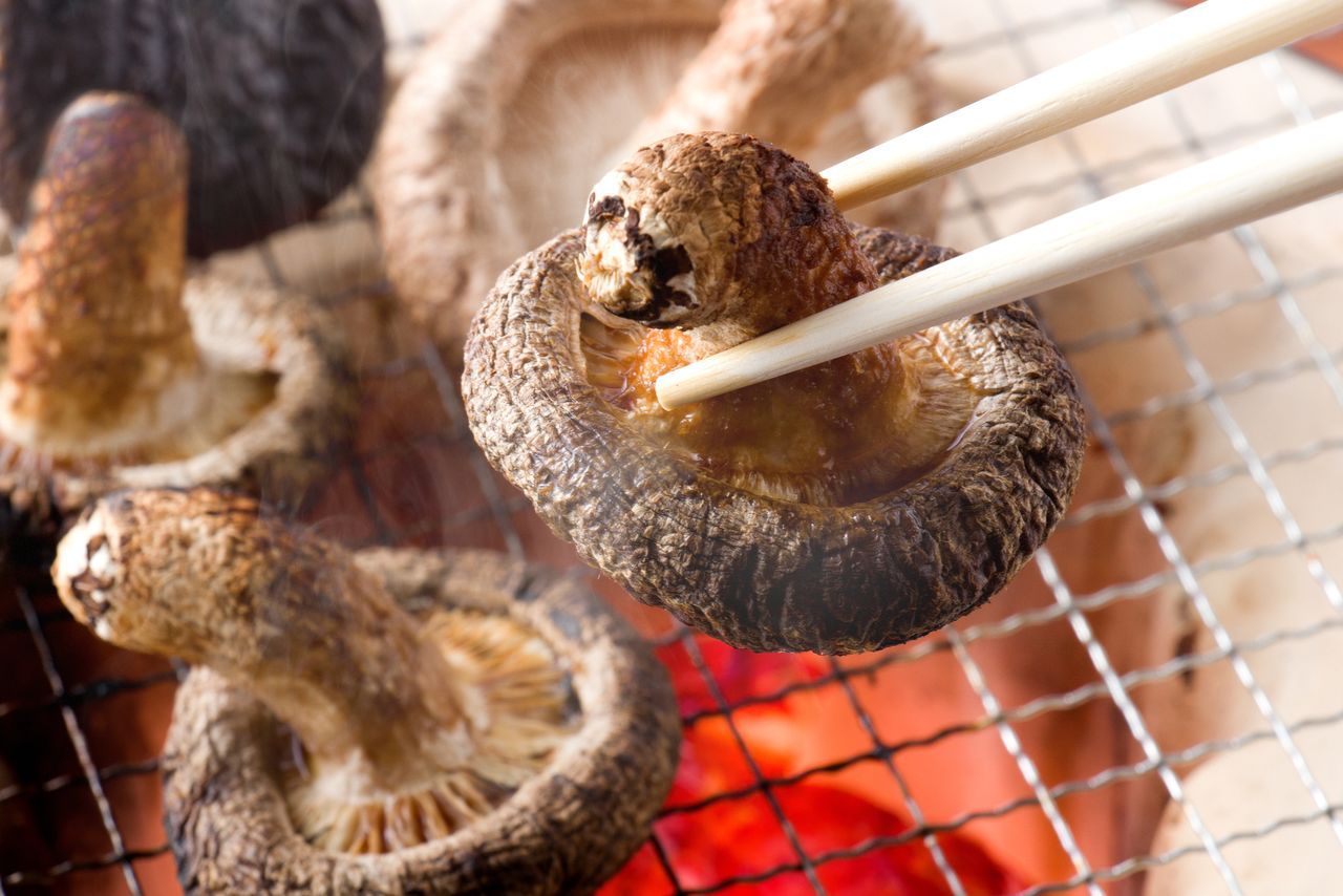 اليابان | شيتاكي… بساطة المكوّن وعمق النكهة في المطبخ الياباني