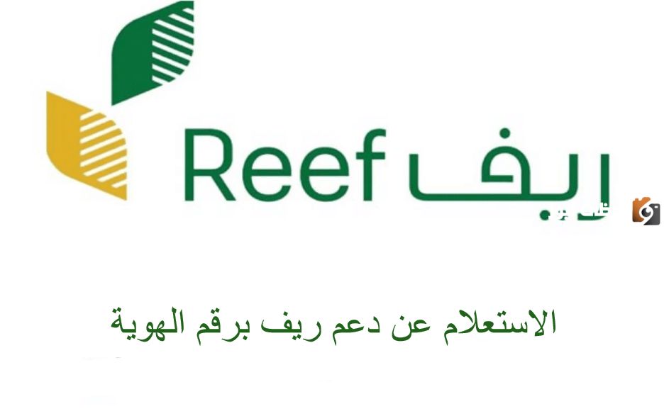 رابط استعلام عن دعم ريف تسجيل الدخول 1447 reef.gov.sa
