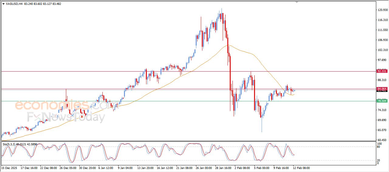 تحديث توقع سعر الفضة اليوم 12-02-2026