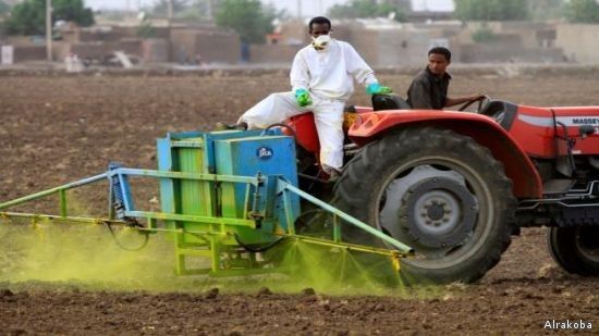 بدء تأمين الموسم الشتوي بمشروع حلفا الجديدة