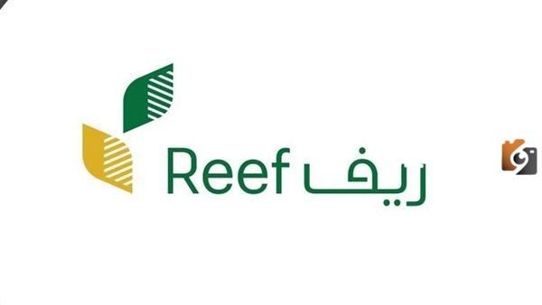 التسجيل في برنامج ريف الحكومي 1447 ريف: فرصة جديدة للأسر الريفية.. رابط التسجيل والشروط المطلوبة