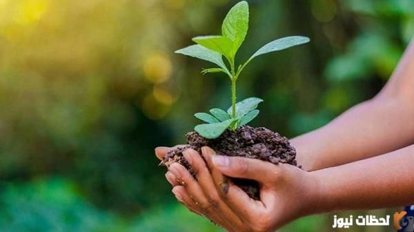 معلومات عن اليوم العالمي للتطوع في السعودية