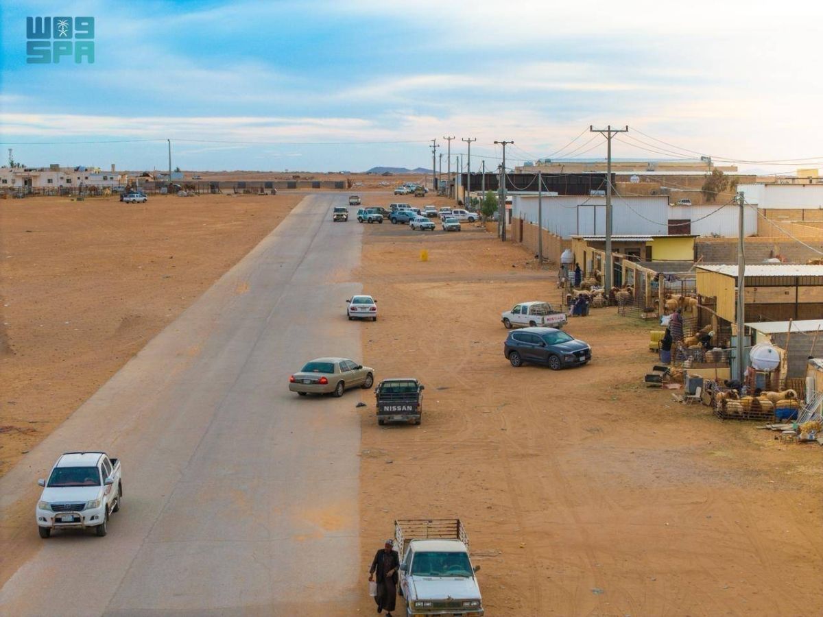 أسواق الماشية في الحدود الشمالية تشهد نشاطا متزايدا مع قرب رمضان